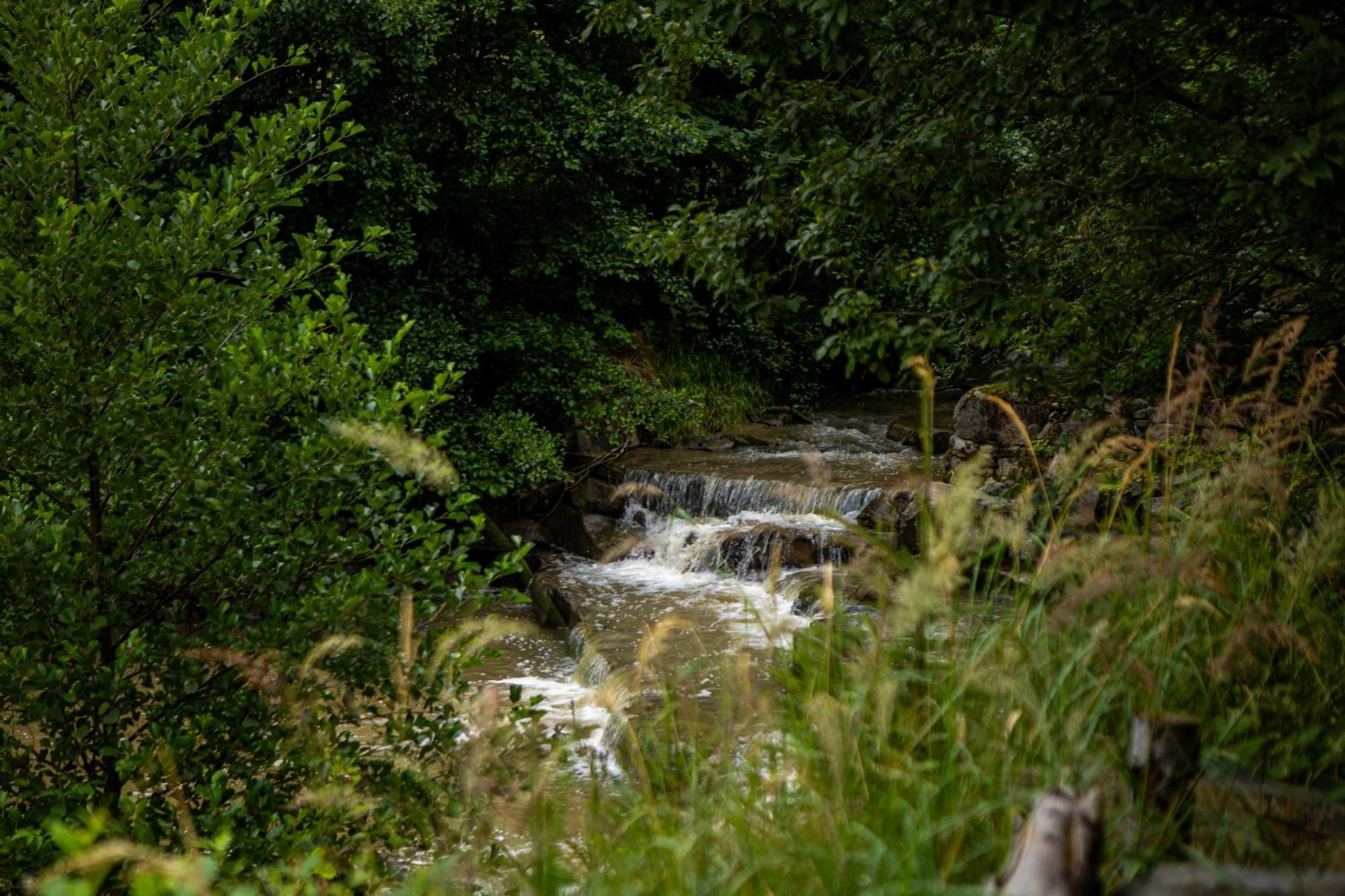 Domek Na Skalce Zabnica 外观 照片