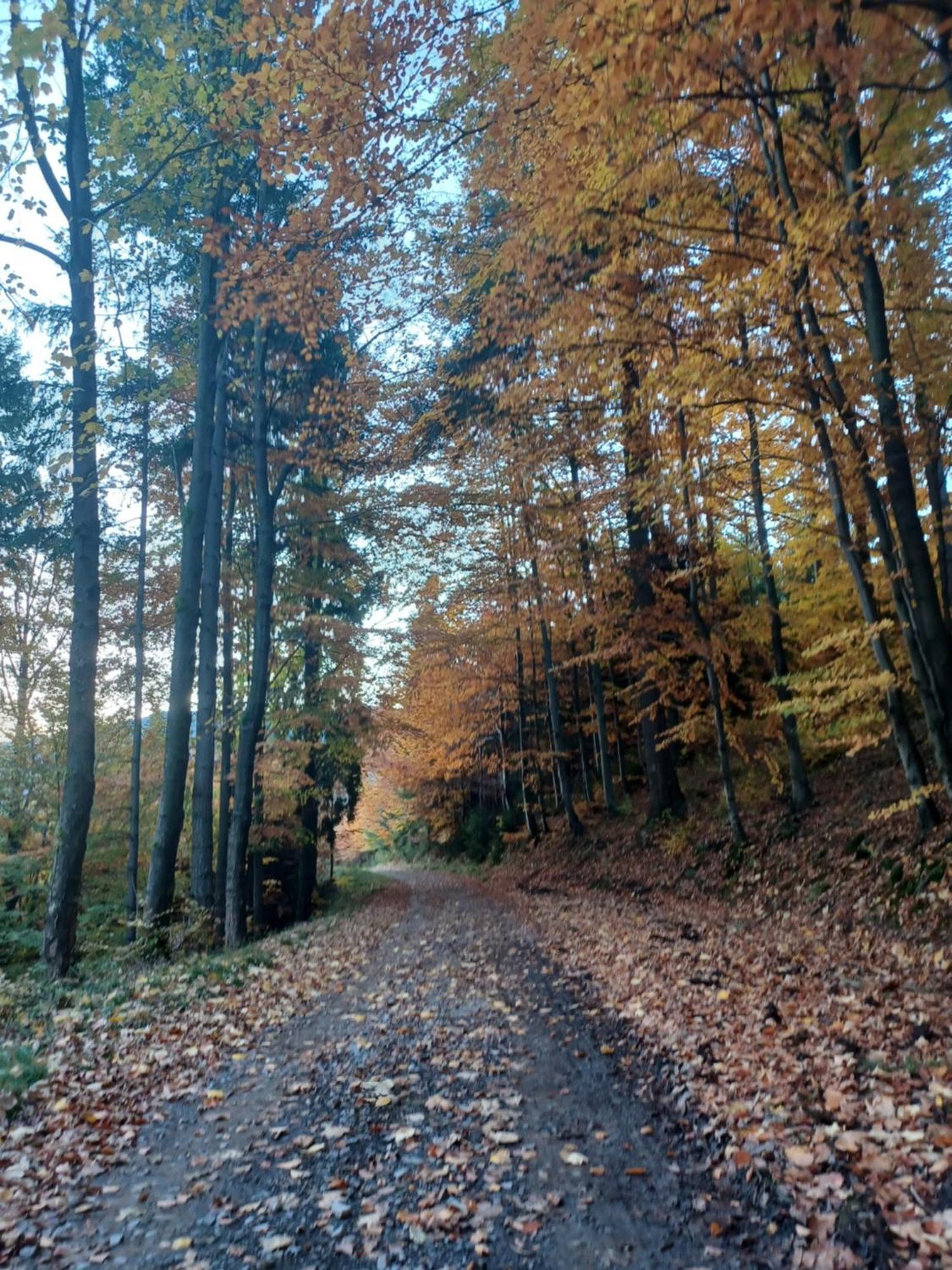 Domek Na Skalce Zabnica 外观 照片